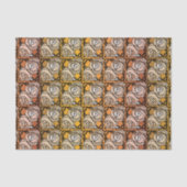  zwart en goudRozen floreel patroon Tissuepapier (Voorkant)