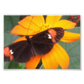 zwart en oranje foto afdruk (Voorkant)