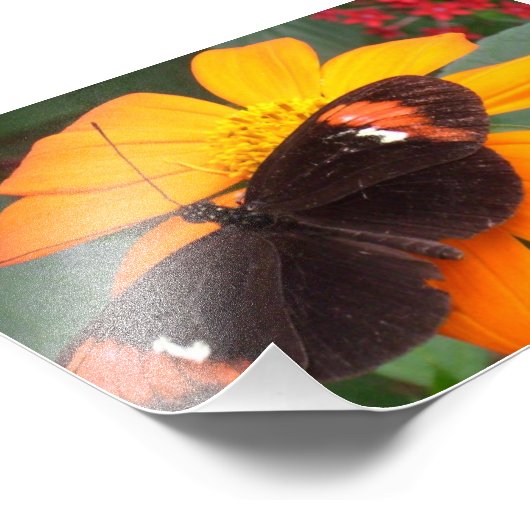 zwart en oranje foto afdruk (Hoek)