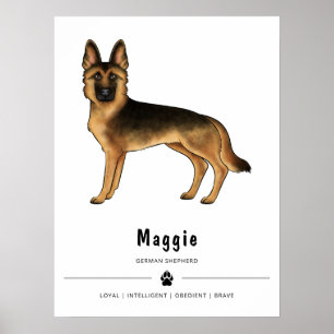 Zwart en roodbruine Duitse herder met aangepaste t Poster