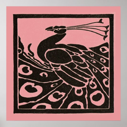 ZWART EN ROZE PAUW POSTER (Voorkant)
