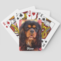 Zwart en tan Cavalier King Charles Spaniel hond