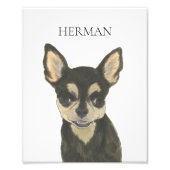 Zwart en Tan Chihuahua Kunst Foto Afdruk (Voorkant)