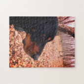 Zwart en Tan Coonhound Legpuzzel (Horizontaal)