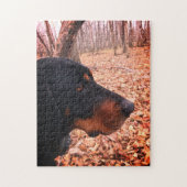 Zwart en Tan Coonhound Legpuzzel (Verticaal)