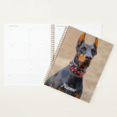 Zwart en Tan Doberman Pinscher in een juwelen kraa Planner (Display)