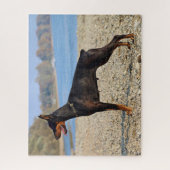 Zwart en Tan Doberman Pinscher op de kust Legpuzzel (Verticaal)