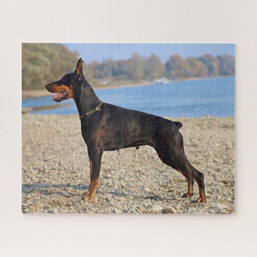 Zwart en Tan Doberman Pinscher op de kust Legpuzzel (Horizontaal)