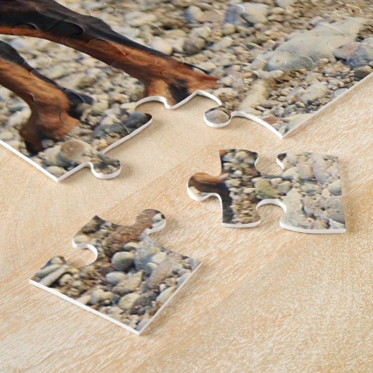 Zwart en Tan Doberman Pinscher op de kust Legpuzzel (Zijkant)