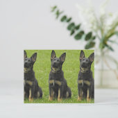 Zwart en Tan GSD Pup Briefkaart (Staand voorkant)