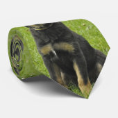 Zwart en Tan GSD Pup Stropdas (Opgerold)