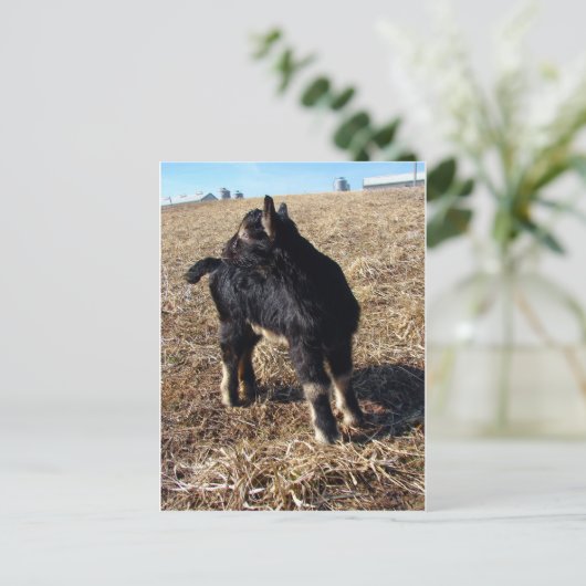 Zwart en Tan Kind genaamd Dobie Briefkaart (Staand voorkant)