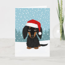 Zwart en Tan Longhaired Dachshund Hondenkerst