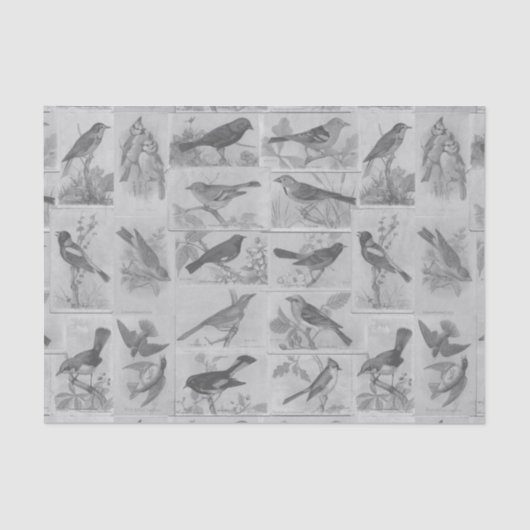 zwart en wit Audubon Birds Tissue Paper Tissuepapier (Voorkant)