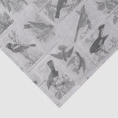 zwart en wit Audubon Birds Tissue Paper Tissuepapier (Detail)