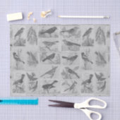 zwart en wit Audubon Birds Tissue Paper Tissuepapier (Craft)