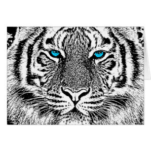 Zwart en wit Blauwe ogen wilde Tijger gezicht