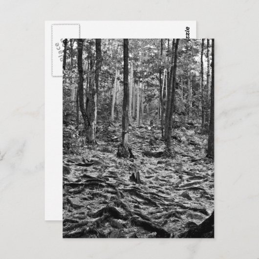 Zwart en wit bos briefkaart (Voorkant / Achterkant)