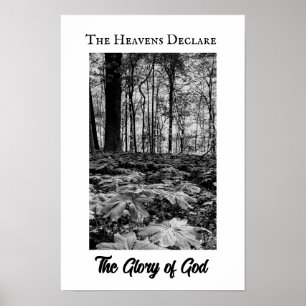Zwart en Wit Bos Glorie van God Poster