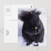 Zwart en wit briefkaart (Voorkant / Achterkant)