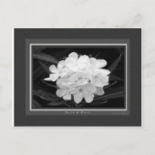 Zwart en wit briefkaart (Voorkant)