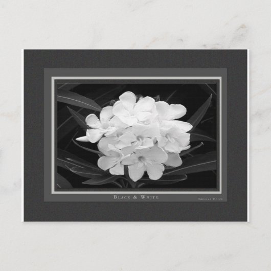 Zwart en wit briefkaart (Voorkant)