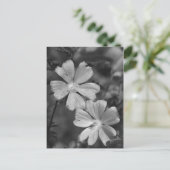 Zwart en wit briefkaart (Staand voorkant)