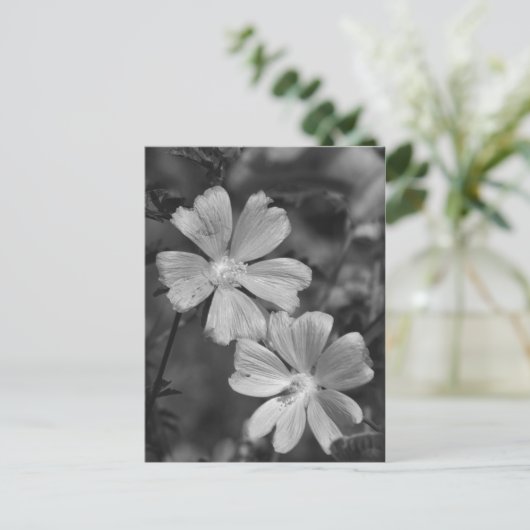 Zwart en wit briefkaart (Staand voorkant)