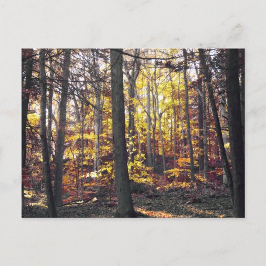 Zwart en wit Briefkaart in het najaar (Voorkant)