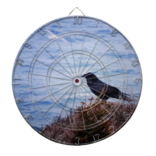 Zwart en wit dartbord (Voorkant)