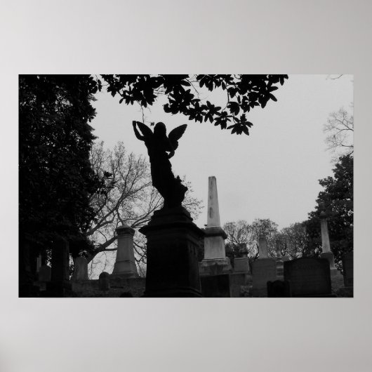 Zwart en wit engel beeld poster (Voorkant)