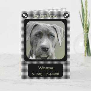 Zwart en Wit Geruit Verlies van Huisdier Hond Symp Kaart