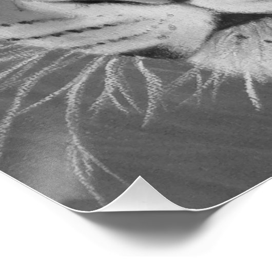 zwart en wit groot kattenschilderij van wilde tijg poster (Hoek)