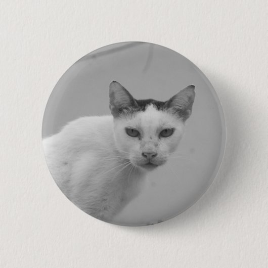Zwart en Wit - Kat 02 Ronde Button 5,7 Cm (Voorkant)