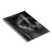 Zwart en Wit - Kitten 02 Notitieboek (Rechterzijde)