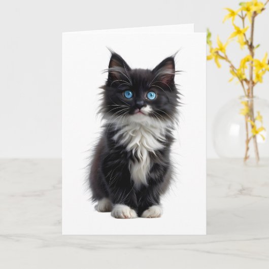 Zwart en wit langharig kat blauw ogen blanco kaart (Gele Bloem)