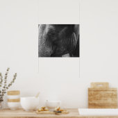 Zwart en wit olifant portret poster (Keuken)