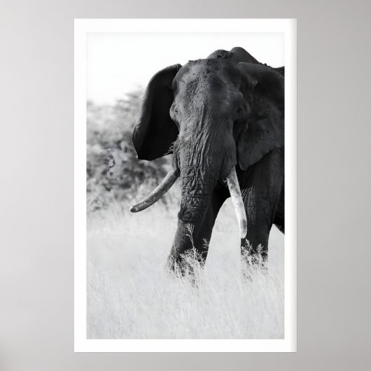 Zwart en Wit Olifant Print - Minimalistisch (Voorkant)