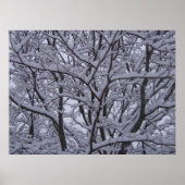 Zwart en wit poster (Voorkant)