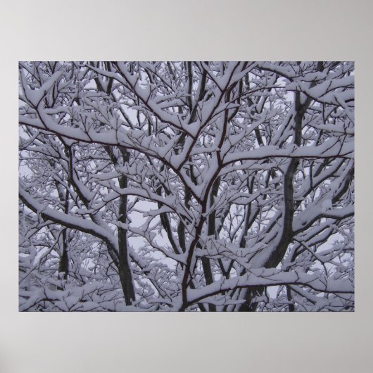 Zwart en wit poster (Voorkant)