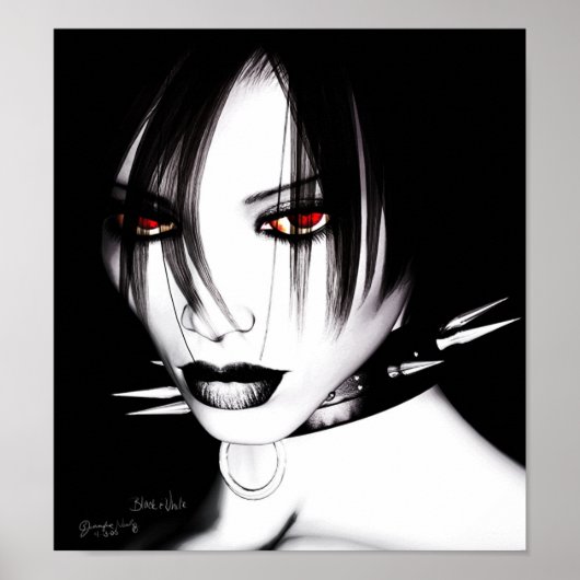 Zwart en wit poster (Voorkant)