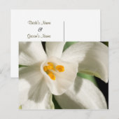 Zwart en wit sparen de Briefkaarten van de Datum (Voorkant / Achterkant)