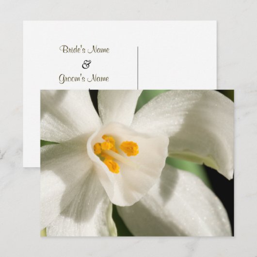 Zwart en wit sparen de Briefkaarten van de Datum (Voorkant / Achterkant)