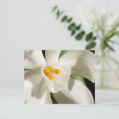 Zwart en wit sparen de Briefkaarten van de Datum (Staand voorkant)