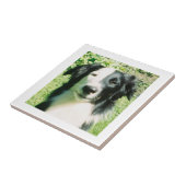 Zwart en wit tegeltje (Zijkant)