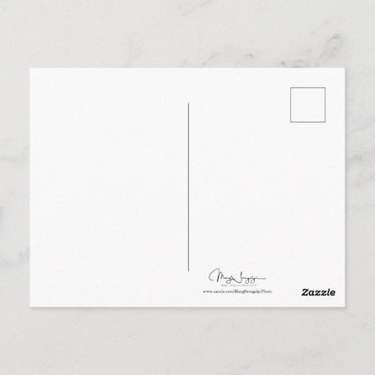  zwart en wit zonnebloemveld briefkaart (Achterkant)