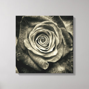 Zwart en witte roos canvas afdruk