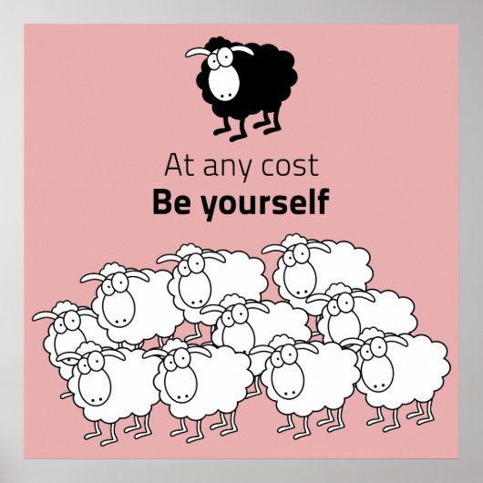 Zwart en witte schapen poster (Voorkant)
