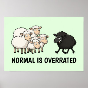 Zwart en Witte Schapen Poster