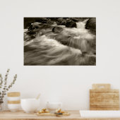 Zwart en witwas poster (Keuken)